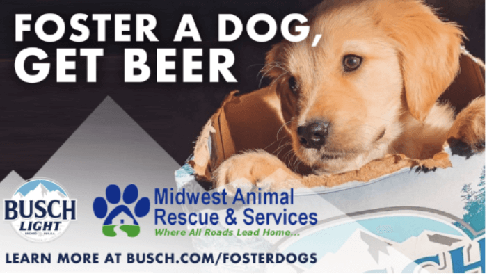 Busch Beer Sponsors Dog Adoptions